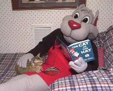 风云突变！波特兰开拓者国际比赛日刷新队史纪录，欧超杯版图或变，震撼外界，控场能力受关注的简单介绍